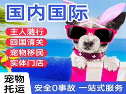 兴东空运代理国际宠物托运 【国